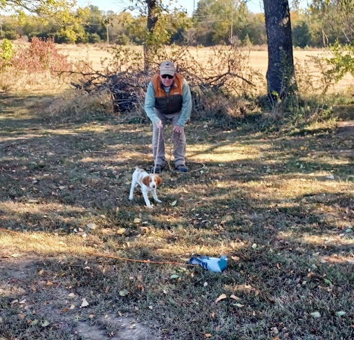 Obedience Dogs