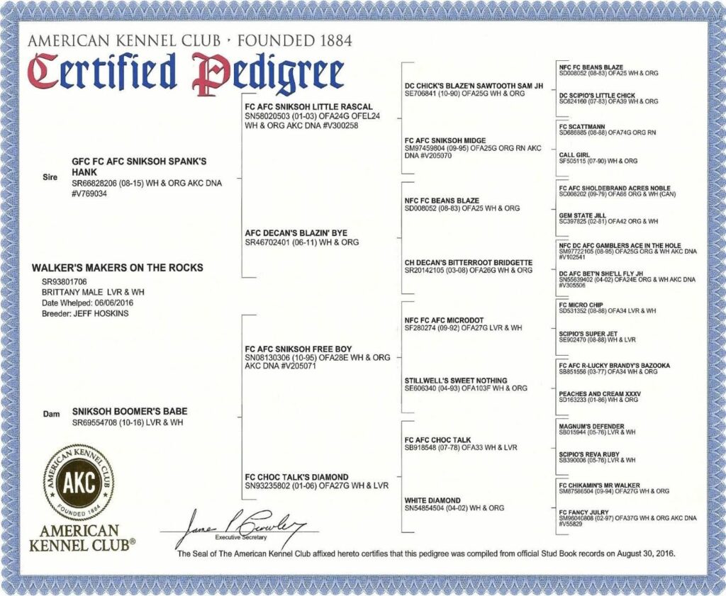 AKC Certified Pedigree document for Walker's Makers on the Rocks, a liver and white Brittany male whelped June 6, 2016.